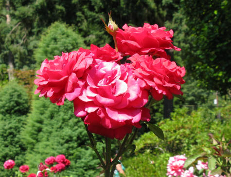 Portland OR Train Station